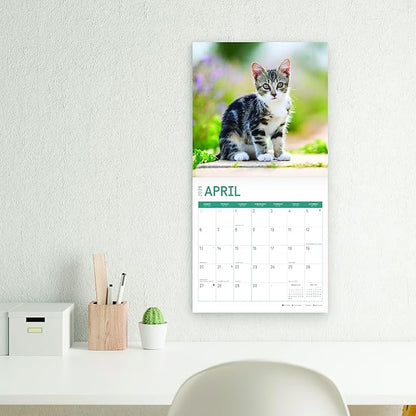 2025 Kittens Monthly Wall Calendar by Bright Day, Includes Over 300 Stickers, 12 x 12 Inch