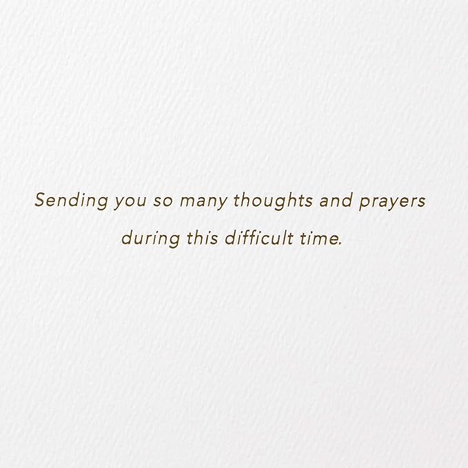 Hallmark Signature Sympathy Card (Many Thoughts and Prayers)