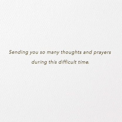 Hallmark Signature Sympathy Card (Many Thoughts and Prayers)