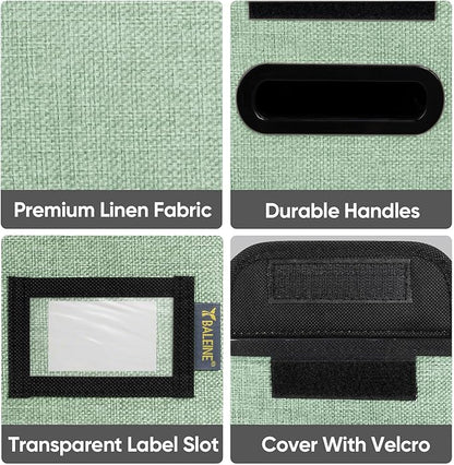 BALEINE File Organizer Box with Lid, Collapsible File Folder Organizer with Plastic Slide, Hanging File Folder Box for Office Document Storage (2 Pack, Green, S)