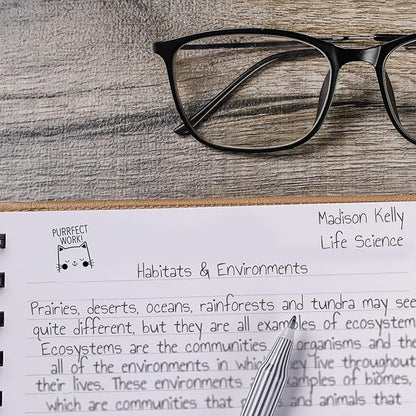 Perfect Work Kitty Cat Themed Stamp / 2000 Plus Self Inking Teacher Animal Stamper / 9/16" Small Black Imprint Cat Pun Planner Worksheet Homework Classroom Stamp