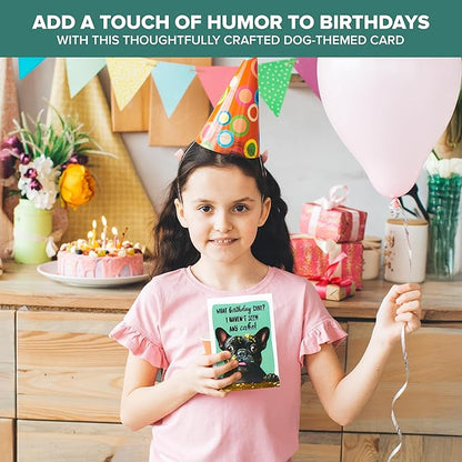 Decorably 5x7in Individual Humorous Dog Birthday Card with Embossed Design, Funny Dog Birthday Cards Set with Envelope and Stickers, with Printed Message Inside