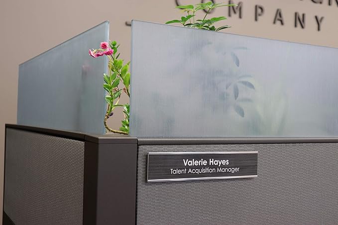 Partition Pins | Decor Cloth Pins | Pins for Office Cubicles - Pack of 10 Durable Fabric Pins for Furniture, Office Signs and Fabric Mounting - Made in The USA