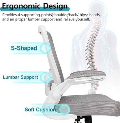 FelixKing Ergonomic Office Chair, Adjustable Height, Breathable Mesh Fabric, Lumbar Support, Gray