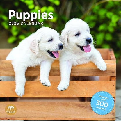 2025 Puppies Monthly Wall Calendar by Bright Day, Includes Over 300 Stickers, 12 x 12 Inch
