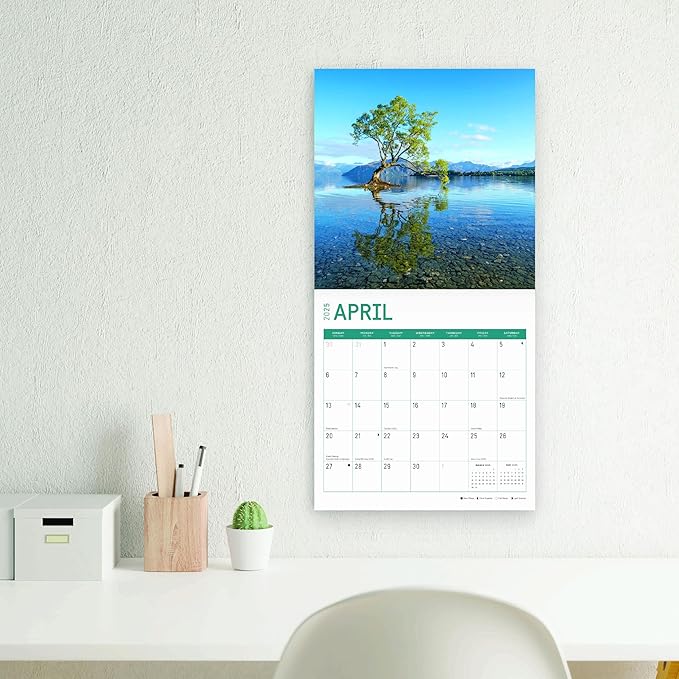 2025 Paradise Monthly Wall Calendar by Bright Day, Includes Over 300 Stickers, 12 x 12 Inch