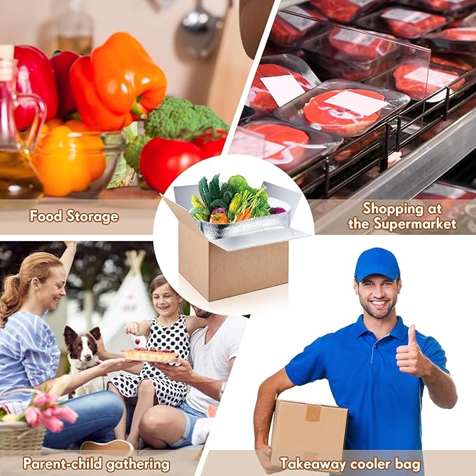 Nuanchu 30 Pieces Double Insulated Mailing Boxes with Aluminum Foil Insulated Bag Liner Cooler Small Mailing Box for Mailing Frozen Food Cold Mailing Boxes for Mailing Packing Moving, 9" x 5" x 6"