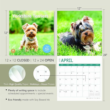 2025 Yorkshire Terriers Monthly Wall Calendar by Bright Day, Includes Over 300 Stickers, 12 x 12 Inch