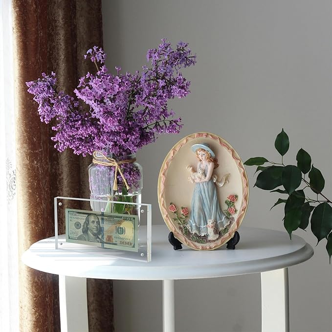 Dollar Bill Frame Display Acrylic Dollar Bill Holder 3.9X7.8Inch Thickened Frame for Dollar Bill Display Case Magnet Currency Display Frame Self Standing for Money Ticket Picture Photos Display Case