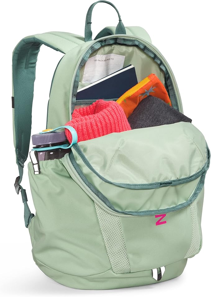 THE NORTH FACE Teen Mini Recon Backpack,Dark Sage/Misty Sage/Mr. Pink, One Size