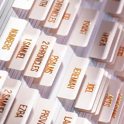 DiverseBee Laminated Bible Tabs (Copper Embossed Lettering), Bible Journaling Supplies, Bible Book Tabs, Christian Gift, 73 Bible Tabs for Women and Men, Includes 4 Blank Tabs (Alabaster)