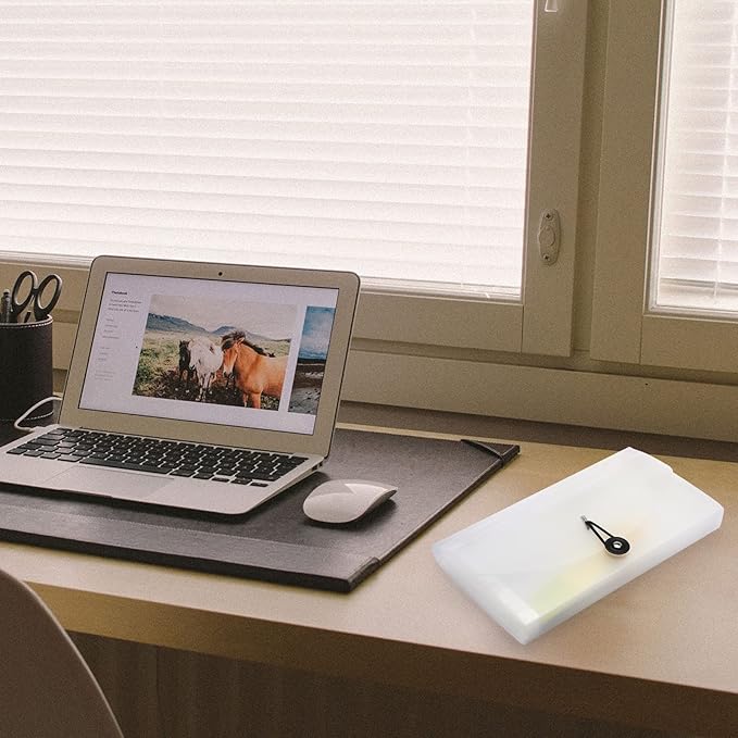 BTSKY Expanding File Folder –New 13 Pockets Small Accordion File Folder Expandable Card Ticket Holder File Storage Folder Check Bill File Folder Plastic Wallet Case (White Translucent)