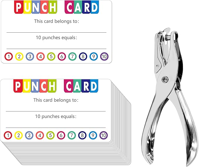 Punch Cards Kit 215 PCs Incentive / Chore / Responsibility / School Attendance / Homework Progress Tracking Card (3.5" x 2") with Hole Punch