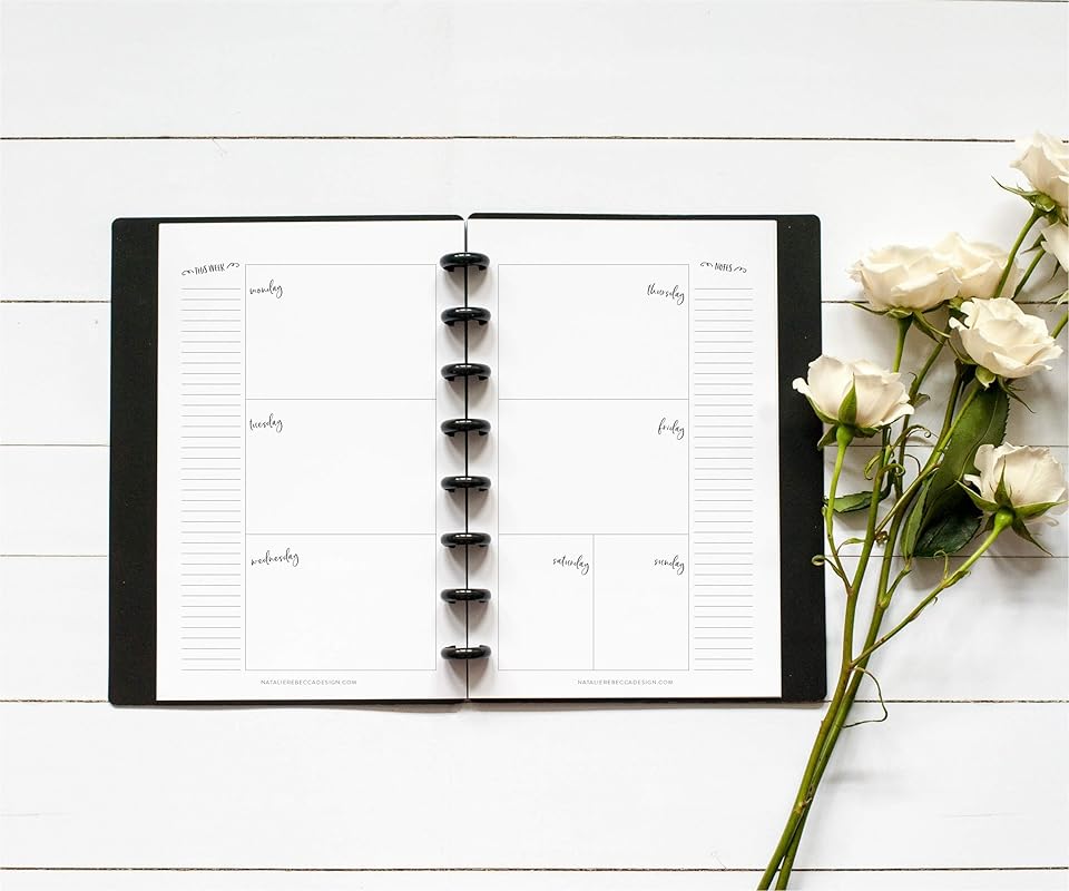 BetterNote Horizontal Undated Calendar Refill Pages for Disc Notebook, fits The Happy Planner, Discbound Levenger Circa, Staples Arc, TUL (Whimsy- 6 months, 8-Disc, 5.5"x8.5")