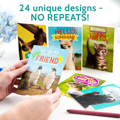 T MARIE 24 Funny Animal Greeting Cards - Humorous Designs with No Repeats - 4.5” x 6.25” Bulk Note Cards for Friends, Kids, Students, Teachers, Summer Camp and More