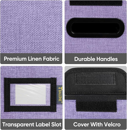 BALEINE File Organizer Box with Lid, Collapsible File Folder Organizer with Plastic Slide, Hanging File Folder Box for Office Document Storage (1 Pack, Purple, S)