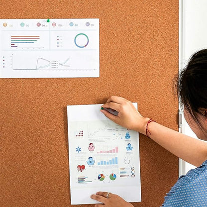 Pinboard Enclosed Bulletin Board 36 x 24 Inch Lockable Cork Noticeboard for School Office, Wall Display Case with Lock (Cork Board)