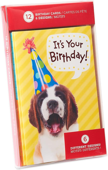 American Greetings Kids Birthday Cards Bundle (12-Count)