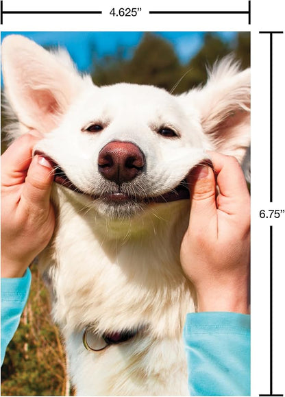 Recycled Paper Greetings 30-Count Funny All Occasion Card Assortment with Envelopes, Seals, and Storage Box by Hey Look!