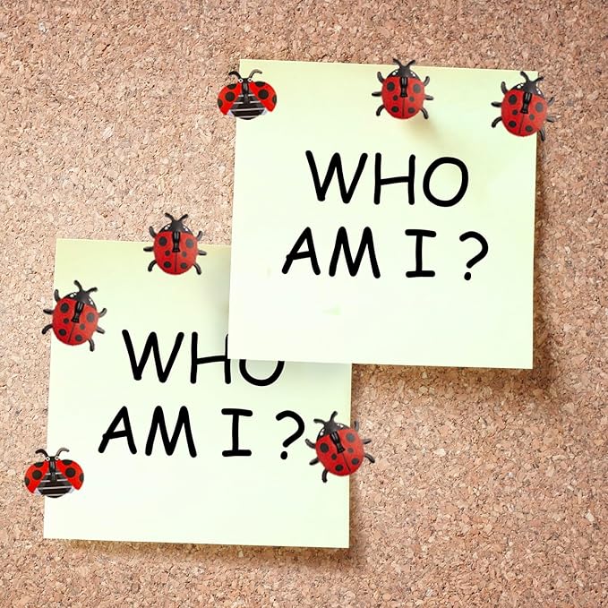 GOUWEIBA 40 Packs Decorative Thumb Tacks - Cute Push Pins Colorful Pushpins for Photo Wall Cork Board Bulletin Board Home Office Decor Cubicle Decorations (Ladybug)