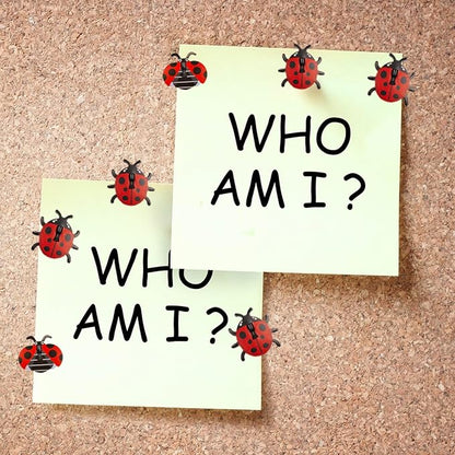 GOUWEIBA 40 Packs Decorative Thumb Tacks - Cute Push Pins Colorful Pushpins for Photo Wall Cork Board Bulletin Board Home Office Decor Cubicle Decorations (Ladybug)