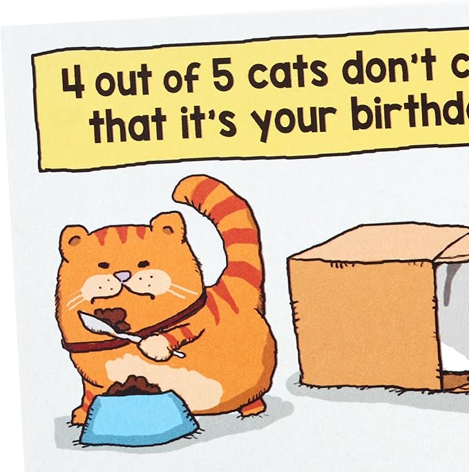 Hallmark Shoebox Funny Birthday Card (Cats Don't Care)