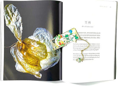 Metal Bookmarks - Genshin Impact Nahida Brass Bookmarks with 3D Display Box for Women Men Sisters Friends - Perfect Birthday Gifts for Book Lovers