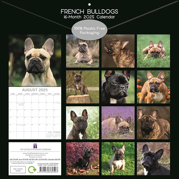 The Gifted Stationary 2025 Square Wall Calendar, French Bulldogs, 16-Month Paw Prints Theme Hanging Calendar with 180 Reminder Stickers, Month Planner for Home, or Creative Spaces, 12x12 In