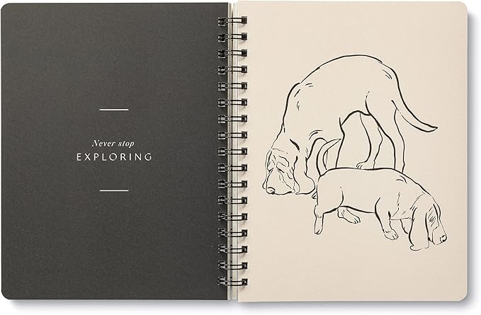 Compendium Spiral Notebook - Play All Day — A Designer Spiral Notebook with 192 Lined Pages, College Ruled, 7.5”W x 9.25”H