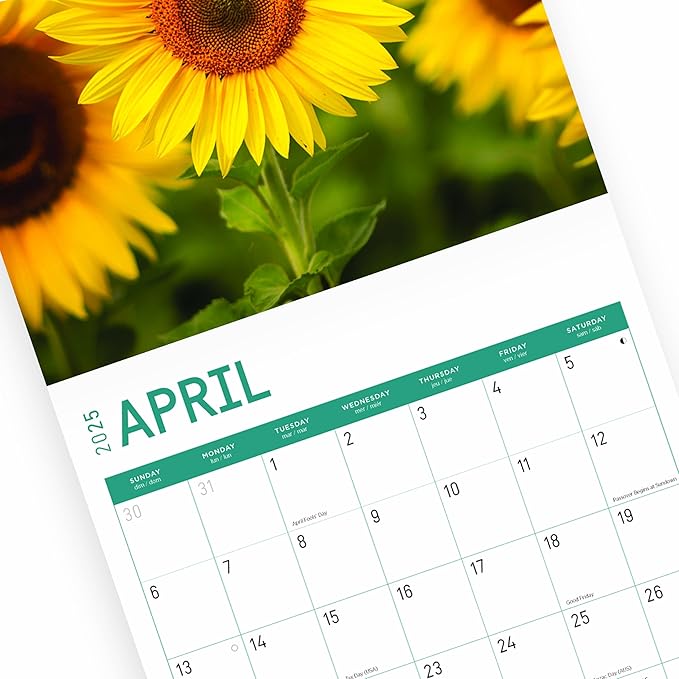 2025 Sunflowers Monthly Wall Calendar by Bright Day, Includes Over 300 Stickers, 12 x 12 Inch