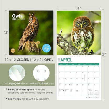 2025 Owls Monthly Wall Calendar by Bright Day, Includes Over 300 Stickers, 12 x 12 Inch