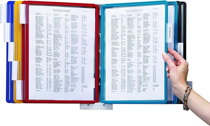 DURABLE Wall Mounted Reference System, 10 Double-Sided Panels, Letter-Size, Assorted Colors, SHERPA Design (554100)