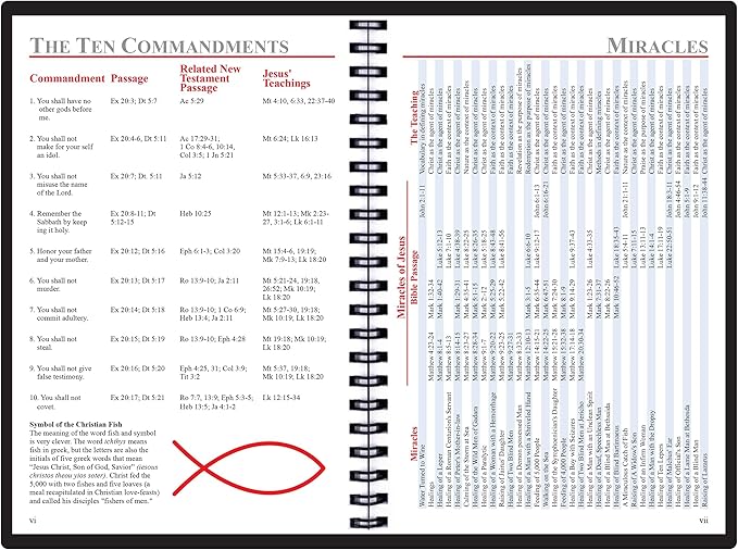 2025 Datebook & City Themed Planner – Resource Guide with Daily, Weekly & Monthly Views – 3-Year Reference Calendar - Multi-Purpose Travel Notebook Guide & Adventure Diary (Day-by-day 2025)