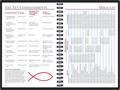 2025 Datebook & City Themed Planner – Resource Guide with Daily, Weekly & Monthly Views – 3-Year Reference Calendar - Multi-Purpose Travel Notebook Guide & Adventure Diary (Day-by-day 2025)