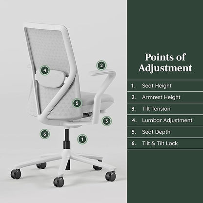 Branch Verve Chair - High Performance Executive Office Chair with Contoured Seat Back and Adjustable Lumbar Rest - High Density Foam Cushion with Aluminum Base - Up to 275 lbs - Mist