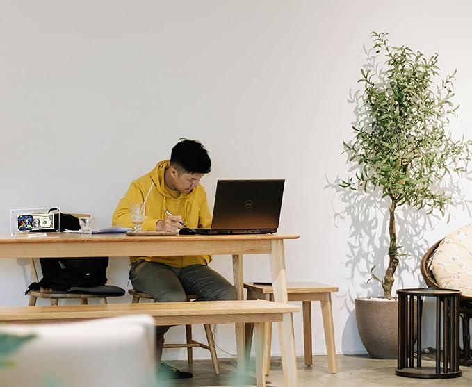 Artisanal Reflections (The Little Prince)