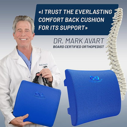 Everlasting Comfort Lumbar Support Pillow for Office Chair - Memory Foam Back Cushion for Chair, Car, Couch - Lumbar Pillow Promotes Better Posture, Back Pain Relief - Ideal for Gaming and Desk Chairs