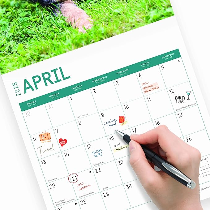 2025 German Shepherds Monthly Wall Calendar by Bright Day, Includes Over 300 Stickers, 12 x 12 Inch