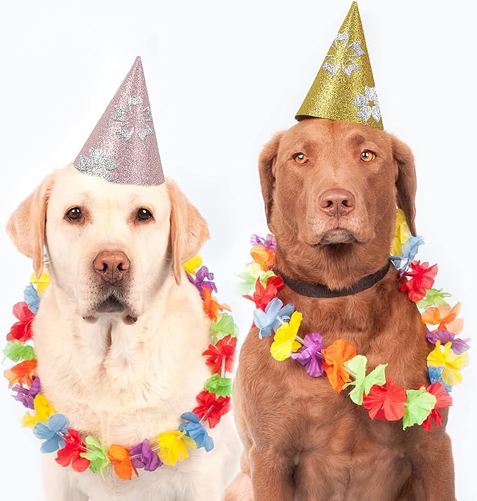 24 Sheets Pink Glitter Cardstock Paper, A4 Premium Sparkly Paper for Scrapbook, DIY Projects, Party Decoration, Gift Box Wrapping 250GSM/92lb