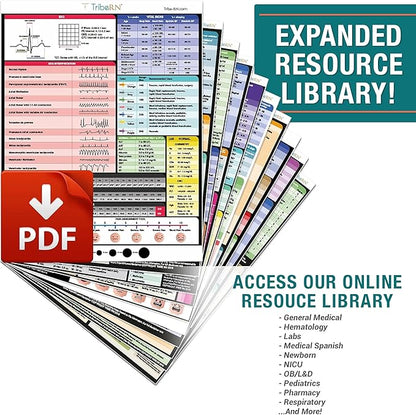 BadgeGuru Nursing Badge Reference Cards - 33 Double Sided Nurse Badge Cards - 66 Cheat Sheets, Nursing School Essentials, Nursing Students, New Nurses