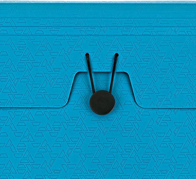 Five Star Expanding File Organizer, 6-Pocket Accordian File Organizer, Bungee Closure, Holds 11" x 8-1/2", Tidewater Blue (350100C-ECM)