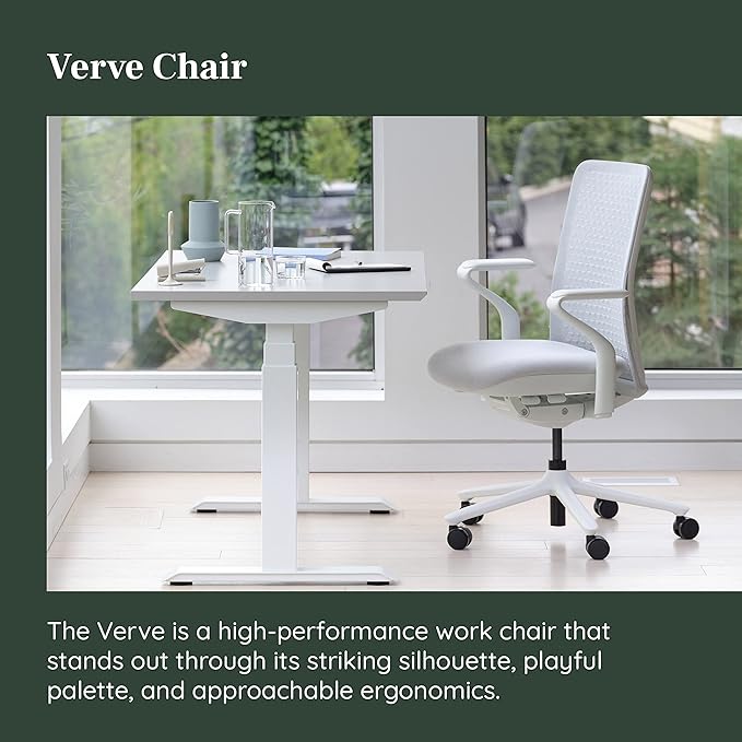 Branch Verve Chair - High Performance Executive Office Chair with Contoured Seat Back and Adjustable Lumbar Rest - High Density Foam Cushion with Aluminum Base - Up to 275 lbs - Mist