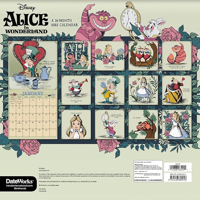 Alice in Wonderland Calendar 2025 - Deluxe 2025 Alice in Wonderland Wall Calendar Bundle with Over 100 Calendar Stickers (Tim Burton Gifts, Office Supplies)