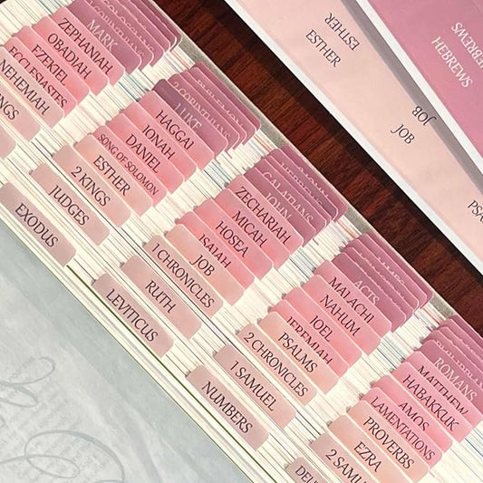 Thinkor Reposition Bible Tabs, Large Print Lanimated Stickers, Easy to Read and Apply Bible Tabs for Women and Man (Four Pink)