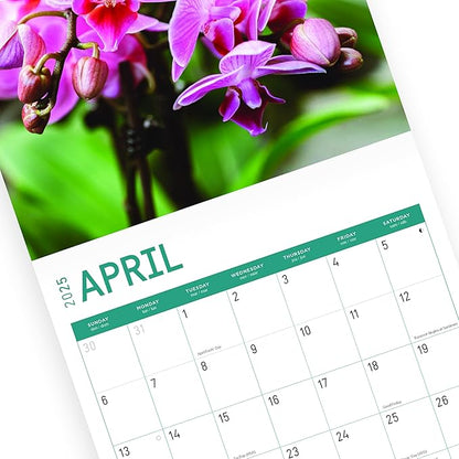 2025 Flowers Monthly Wall Calendar by Bright Day, Includes Over 300 Stickers, 12 x 12 Inch