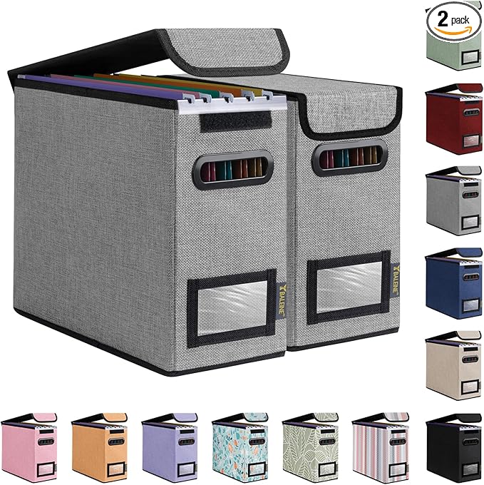 BALEINE File Organizer Box with Lid, Collapsible File Folder Organizer with Plastic Slide, Hanging File Folder Box for Office Document Storage (2 Pack, Grey, S)