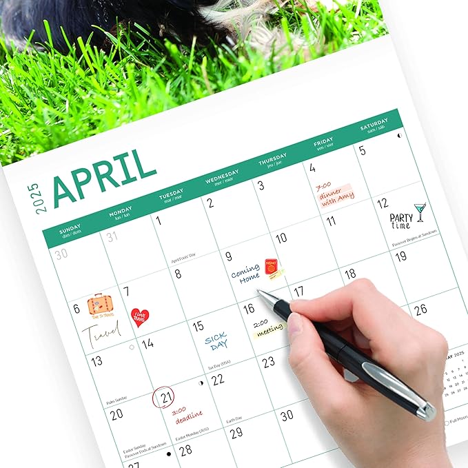 2025 Yorkshire Terriers Monthly Wall Calendar by Bright Day, Includes Over 300 Stickers, 12 x 12 Inch