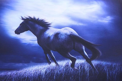 13.3-Inch to 14-Inch Laptop Sleeve Case Neoprene Carrying Bag with Hidden Handles for MacBook/Notebook/Ultrabook/Chromebooks (Blue Horse)