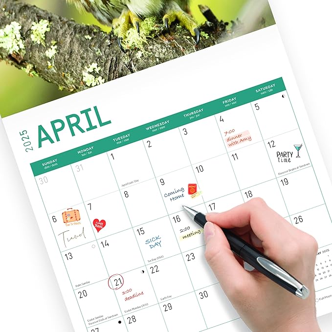2025 Owls Monthly Wall Calendar by Bright Day, Includes Over 300 Stickers, 12 x 12 Inch