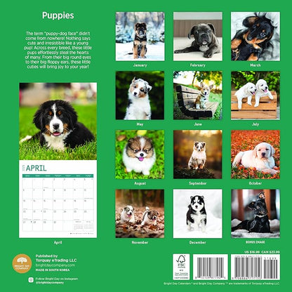 2025 Puppies Monthly Wall Calendar by Bright Day, Includes Over 300 Stickers, 12 x 12 Inch